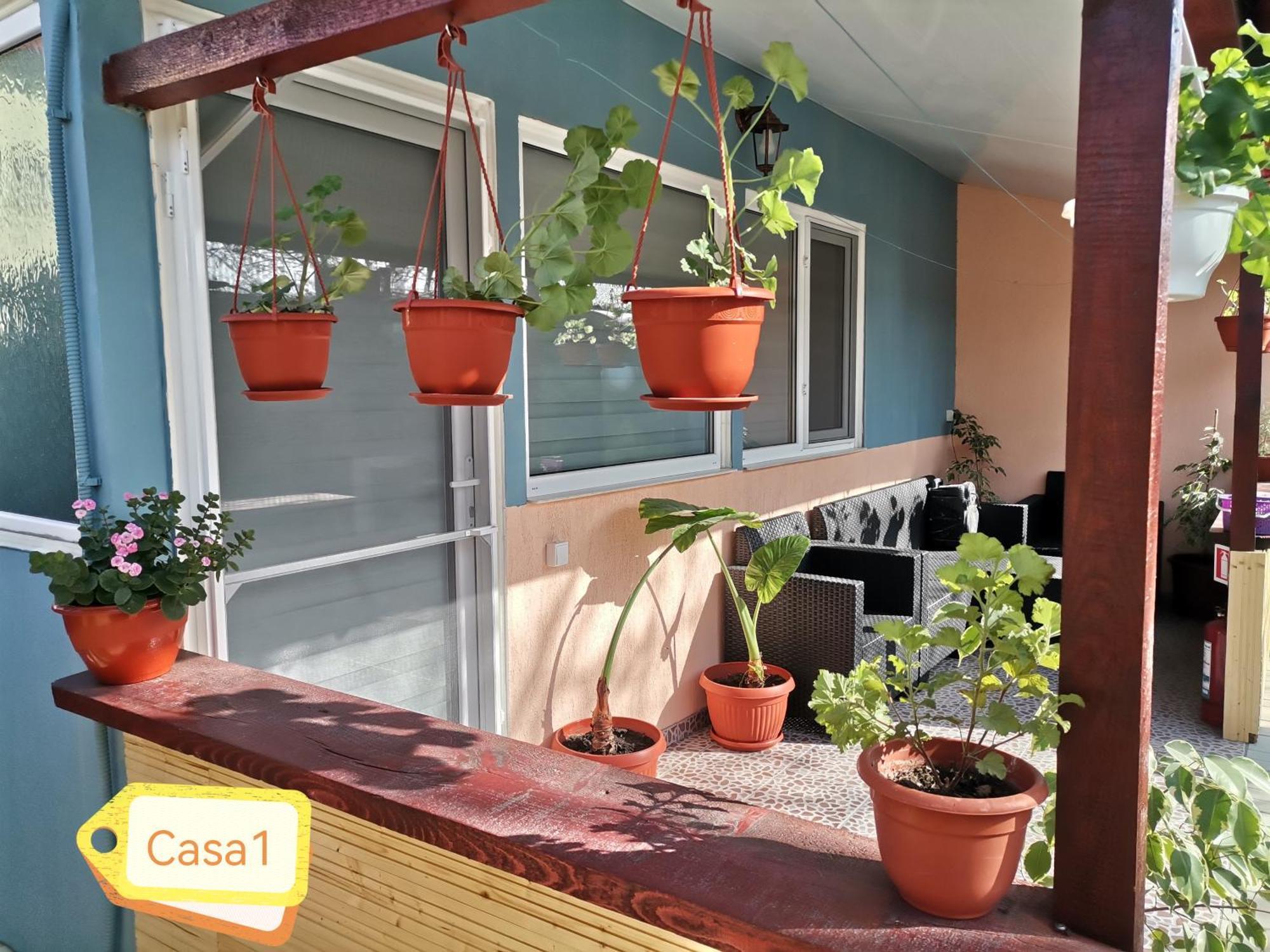 Casa Dasoveanu Sulina Extérieur photo